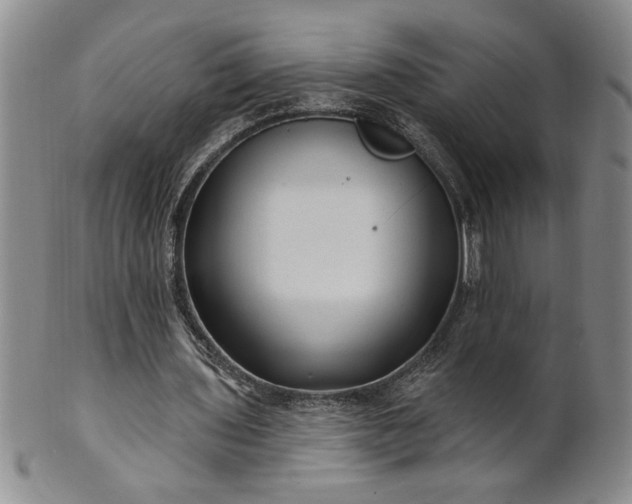X0000100970435200807081223
