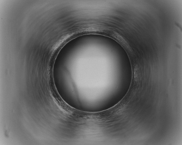 X0000100970436200807081223