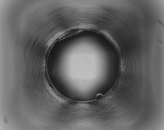 X0000100970437200807081223