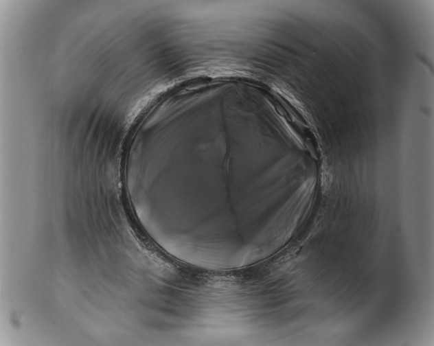 X0000100970438200807081223