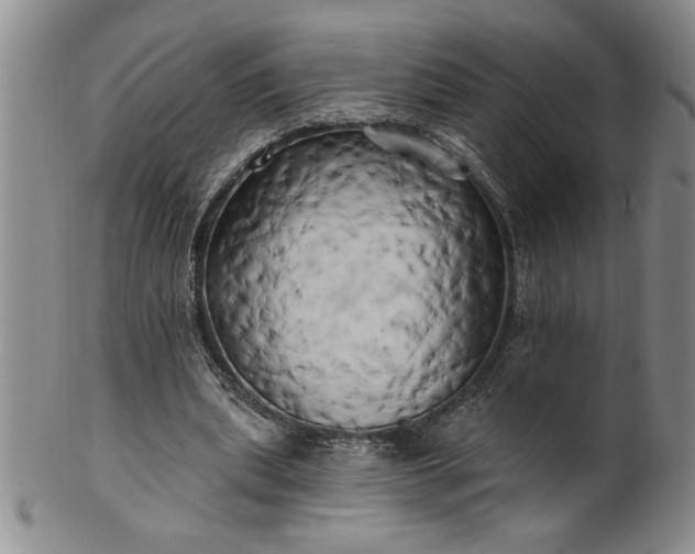 X0000100970439200807081223