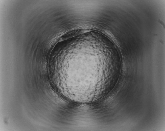 X0000100970441200807081223