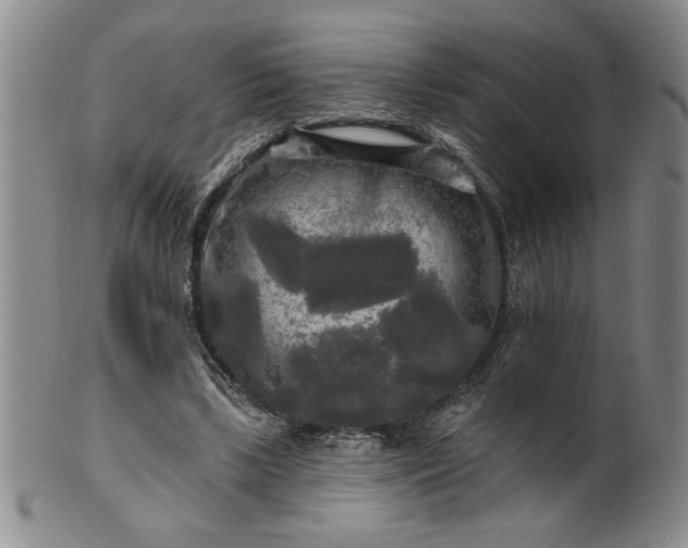 X0000100970443200807081223