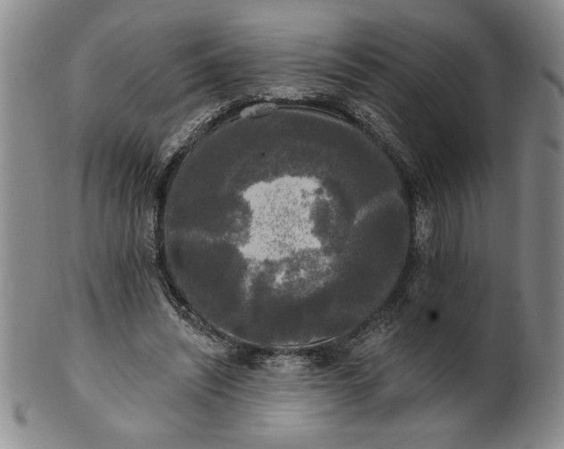 X0000100970444200807081223