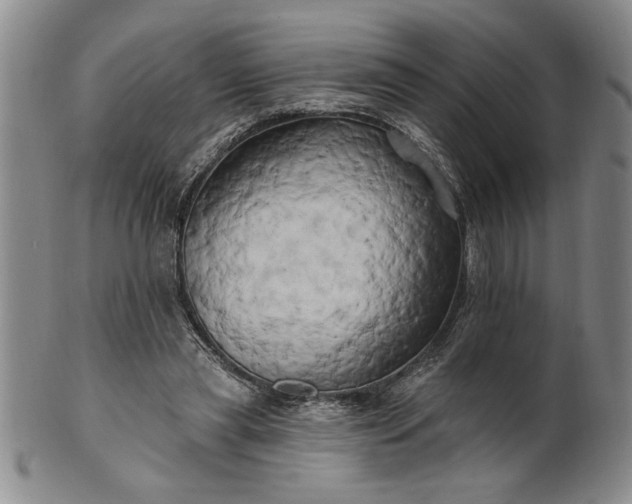 X0000100970445200807081223