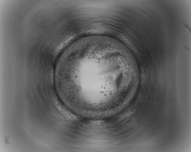 X0000100970446200807081223