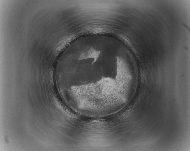 X0000100970447200807081223