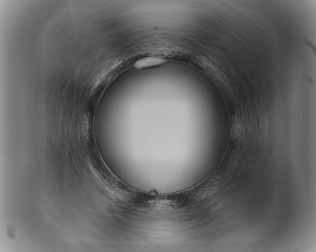 X0000100970448200807081223