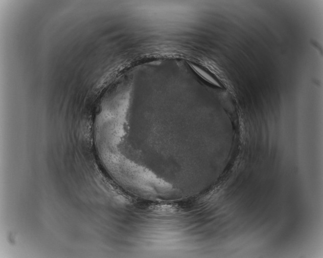 X0000100970449200807081223