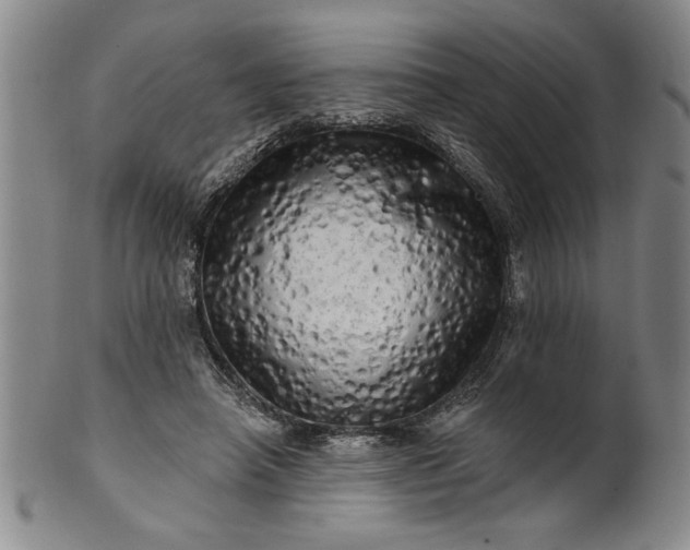 X0000100970450200807081223