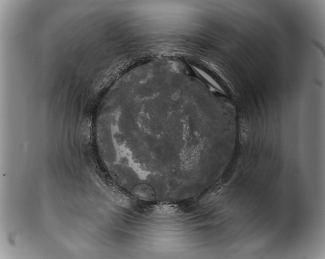 X0000100970451200807081223