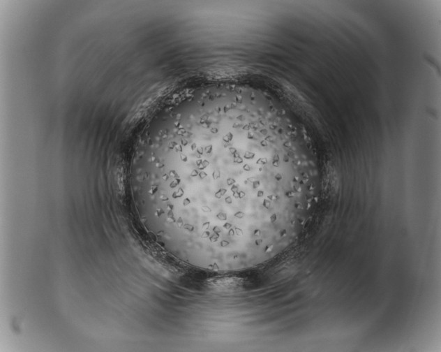 X0000100970452200807081223