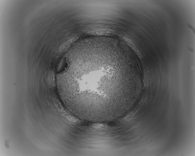 X0000100970453200807081223