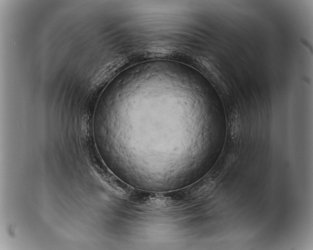 X0000100970455200807081223