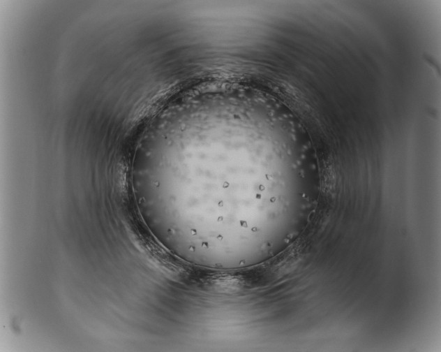 X0000100970456200807081223
