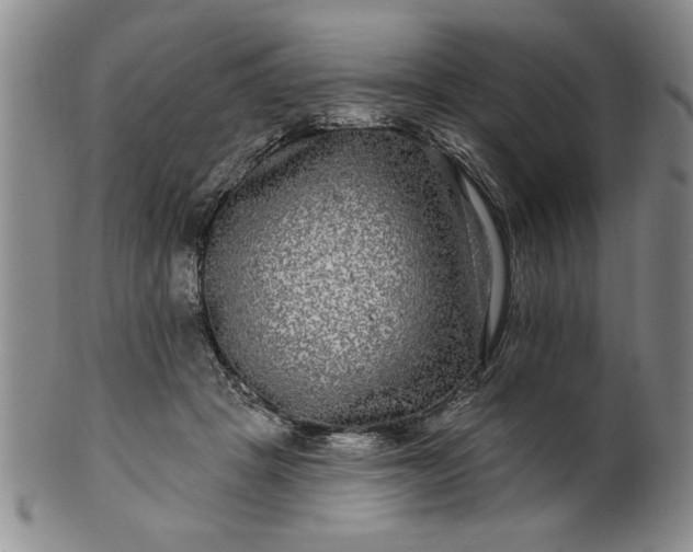 X0000100970457200807081223