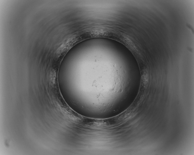 X0000100970458200807081223