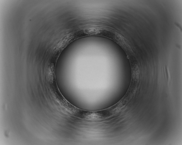 X0000100970460200807081223