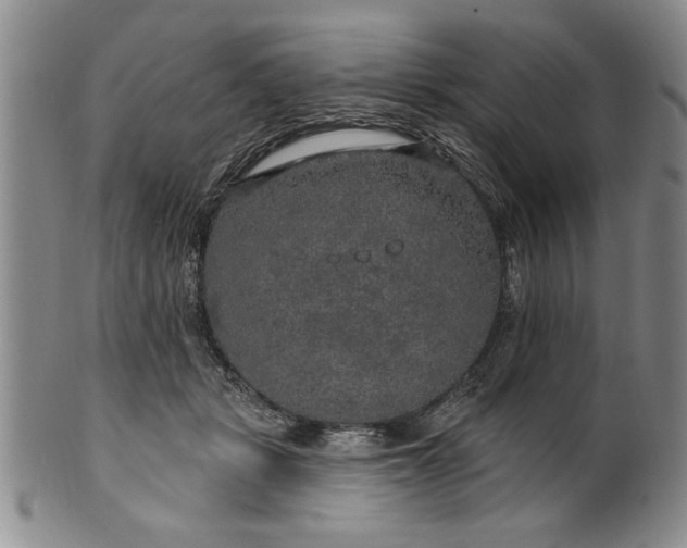 X0000100970461200807081223