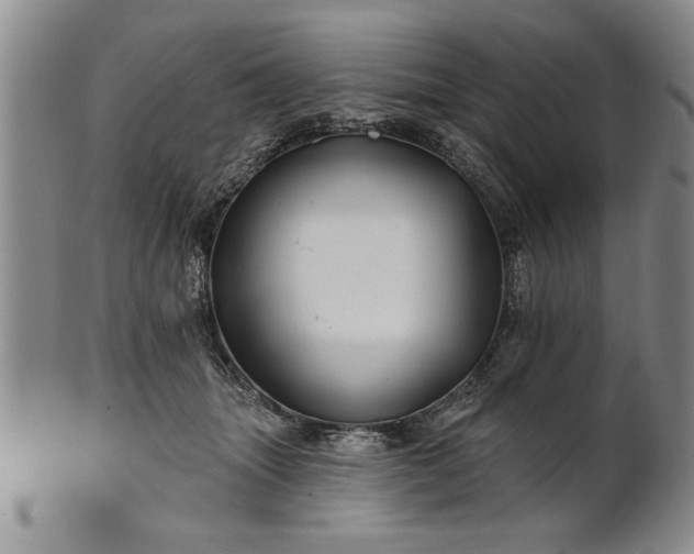 X0000100970463200807081223