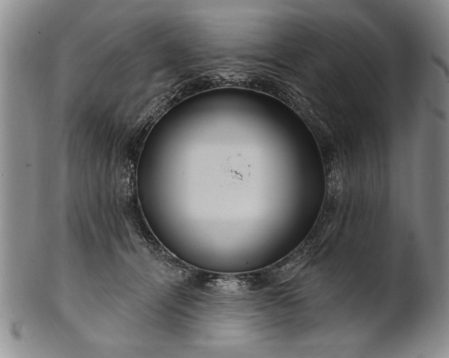 X0000100970464200807081223