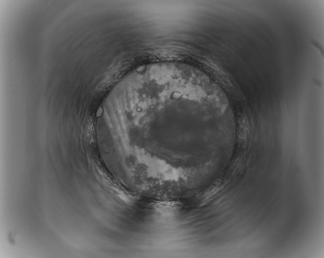 X0000100970465200807081223