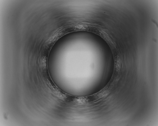 X0000100970466200807081223