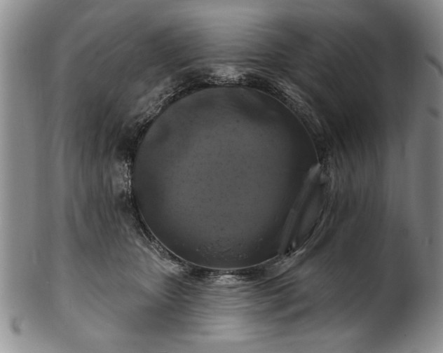 X0000100970467200807081223