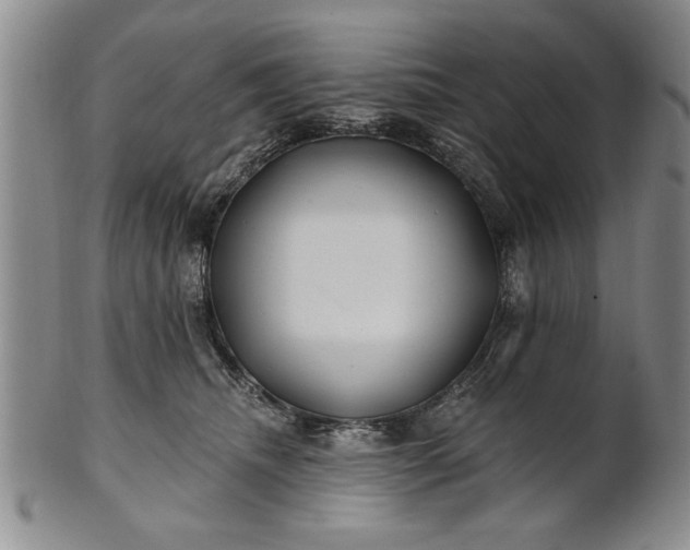X0000100970468200807081224