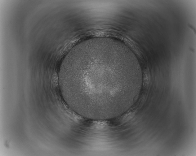 X0000100970469200807081224