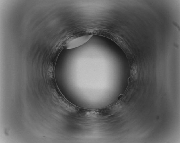 X0000100970470200807081224