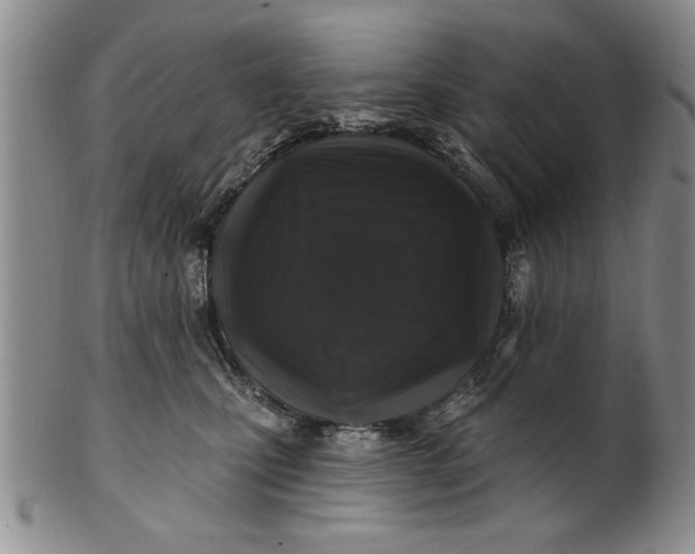 X0000100970471200807081224