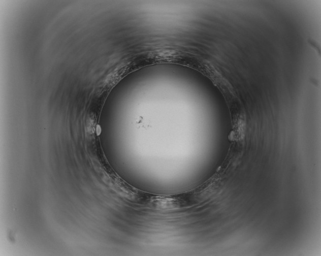 X0000100970472200807081224