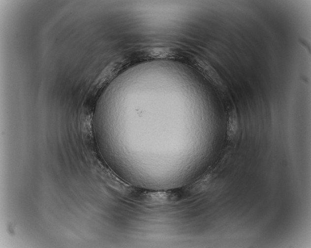 X0000100970473200807081224