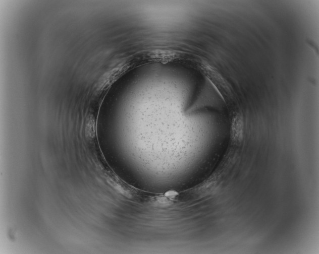 X0000100970474200807081224