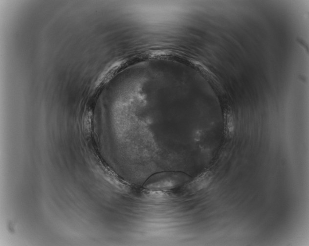 X0000100970475200807081224