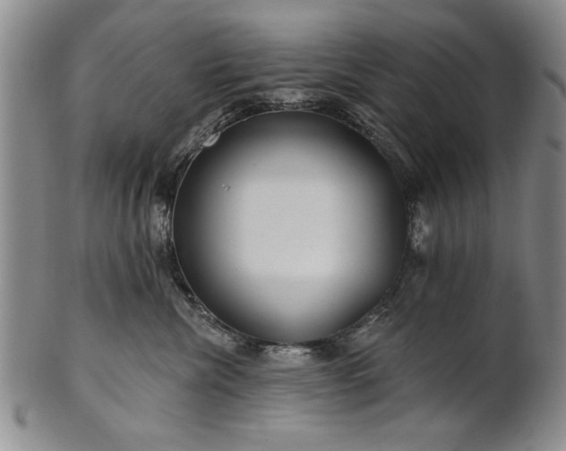 X0000100970476200807081224