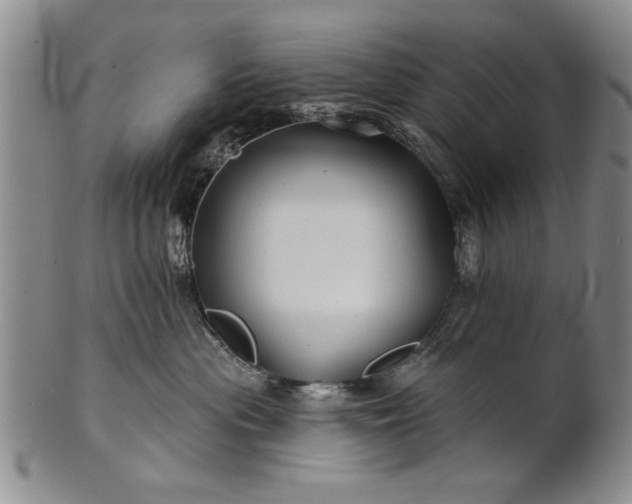 X0000100970477200807081224