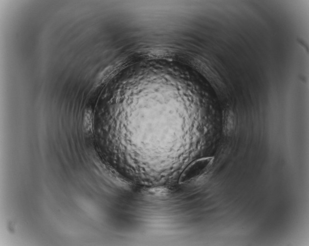 X0000100970478200807081224