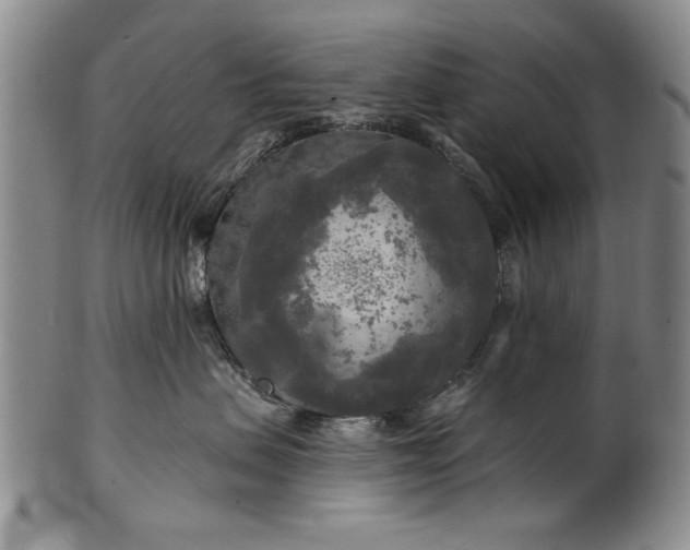 X0000100970479200807081224