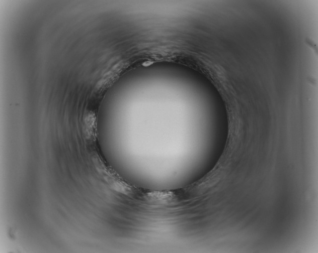 X0000100970480200807081224