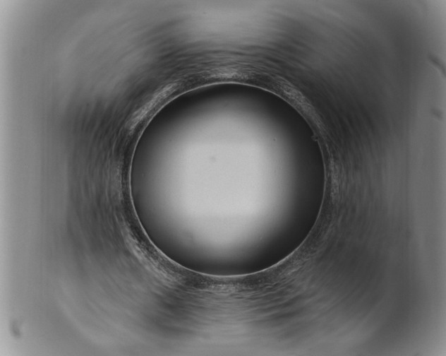 X0000100970482200807081223
