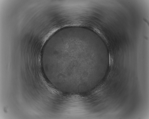 X0000100970483200807081223