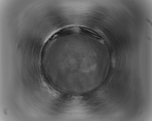 X0000100970484200807081223
