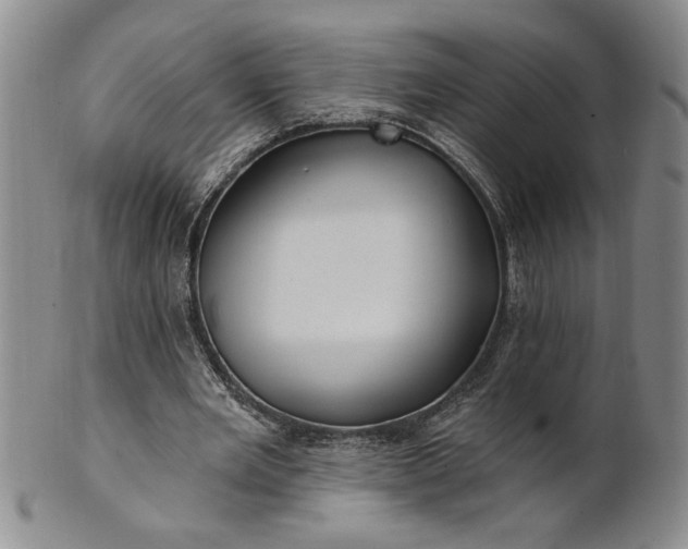 X0000100970485200807081223