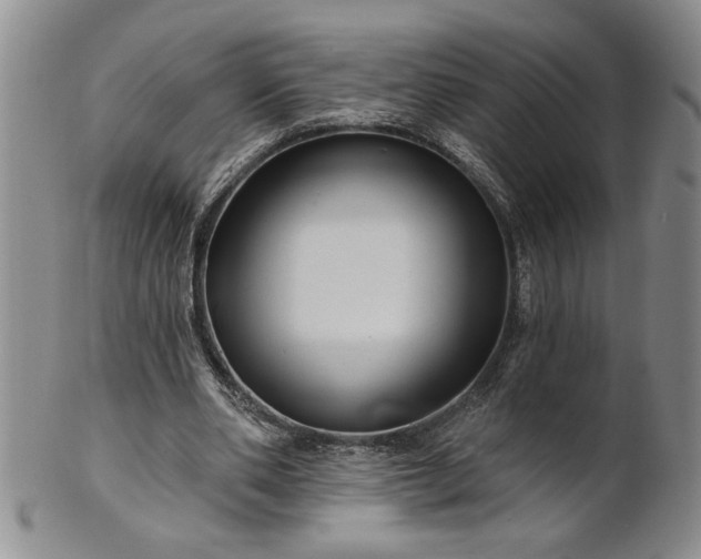 X0000100970486200807081223