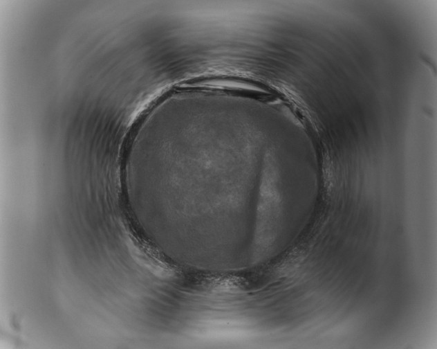 X0000100970488200807081223