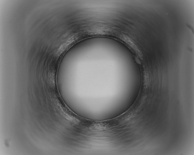 X0000100970489200807081223