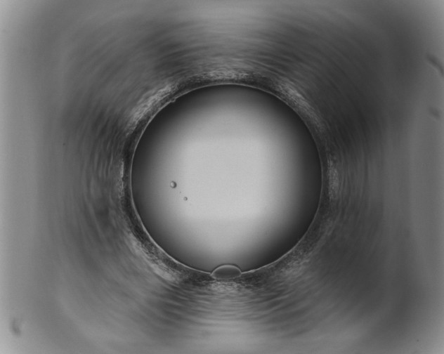 X0000100970490200807081223