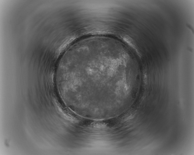 X0000100970491200807081223